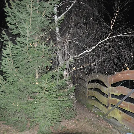 Dworek - Polna * Skrzeszew